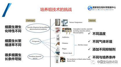 培養(yǎng)組通幽微世界，助力微生物資源大作為——記國家微生物科學數(shù)據(jù)中心網(wǎng)絡(luò)精品課網(wǎng)絡(luò)技術(shù)開發(fā)
